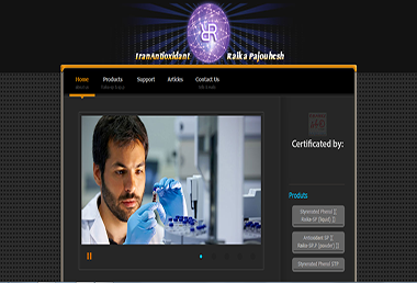وب سایت شرکت رایکا پژوهش